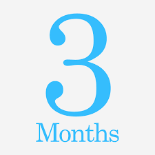 3 Month Subscription Plan