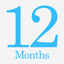 12 Months Subscription Plan